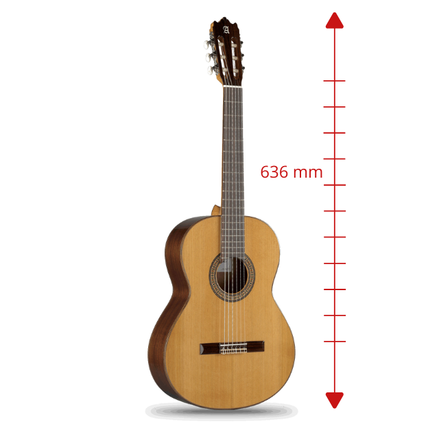 Señorita 3 C - 7/8 - Suono eccellente in un piccolo formato