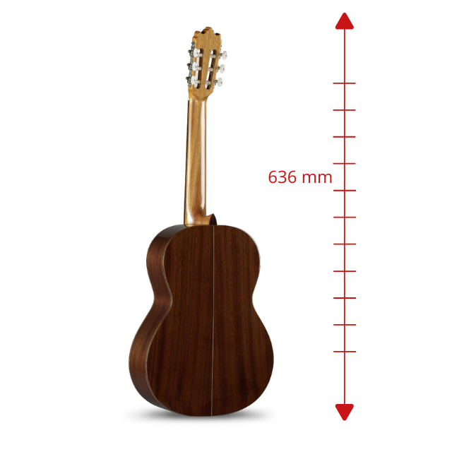 Señorita 3 C - 7/8 - Suono eccellente in un piccolo formato