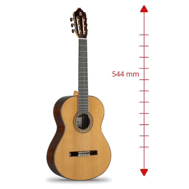 Requinto 9 P - 1/2 - Un'opera d'arte in formato compatto